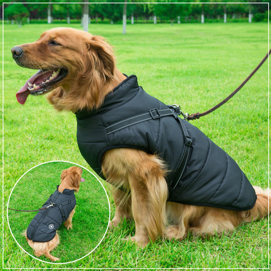 Veste pour chien grande taille, imperméable, chaude et anti-traction