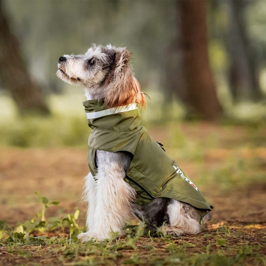 Imperméable Velcro pour chien de petite et moyenne taille