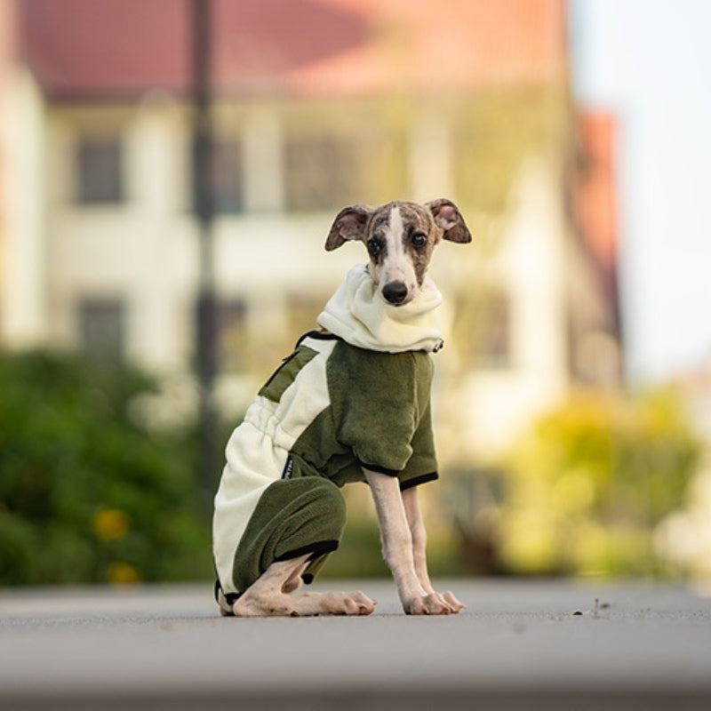 Warmer Vierbeinmantel für Hunde, Polarfleece, abnehmbarer Kragen