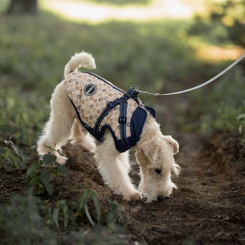 Winter cotton coatdog jackettraction jacket for small and medium-sized dogs