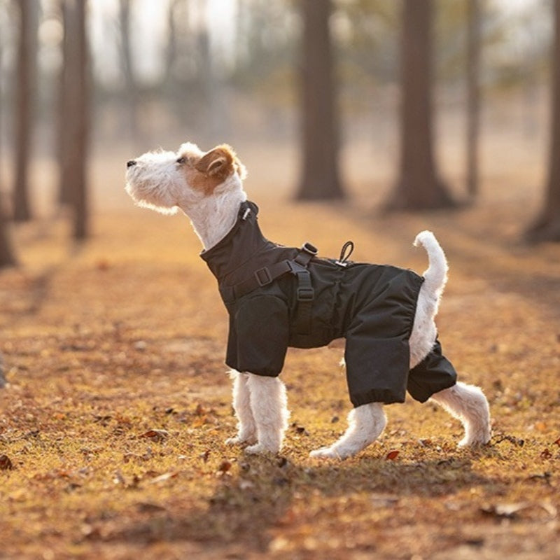 Lightweight dog raincoat | Adjustable harness | Waterproof dog jacket | Reflective at night | Fits all sizes of dogs S-6XL