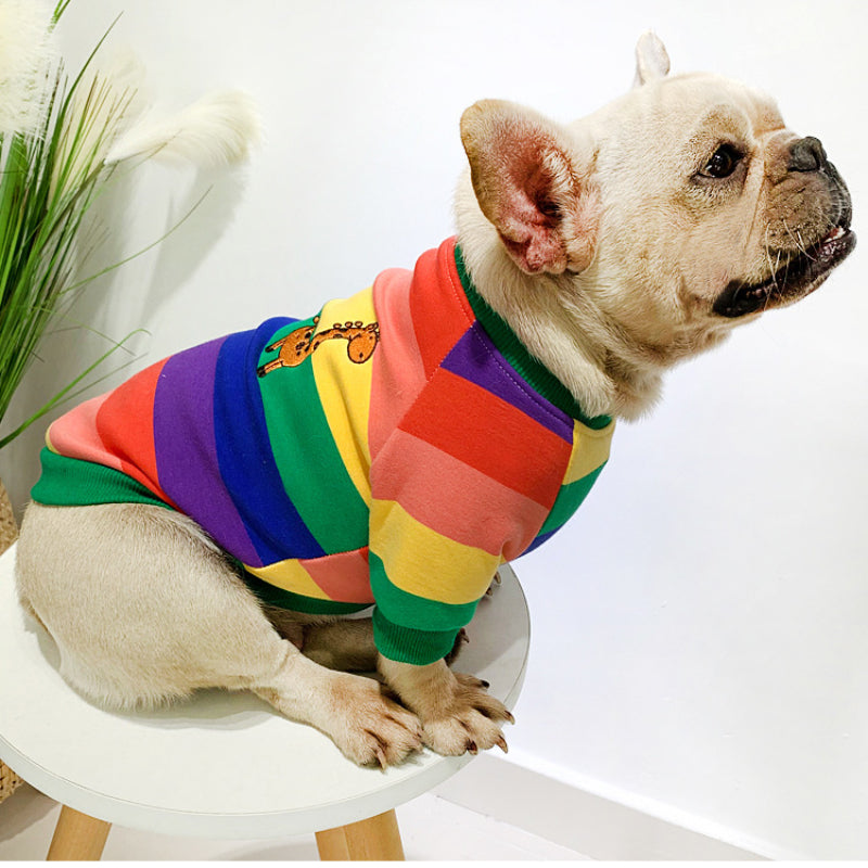 Plüschiges, warmes Sweatshirt für kleine Hunde, passende Kleidung für Haustier und Besitzer