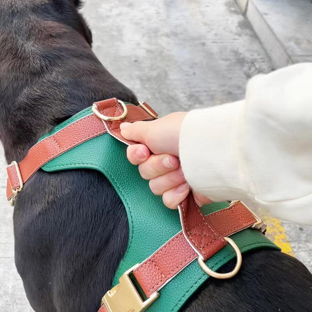 Leather Dog Harness with Handle Waterproof Dog Vest Leash Adjustable Soft and Comfortable for Medium and Large Dogs