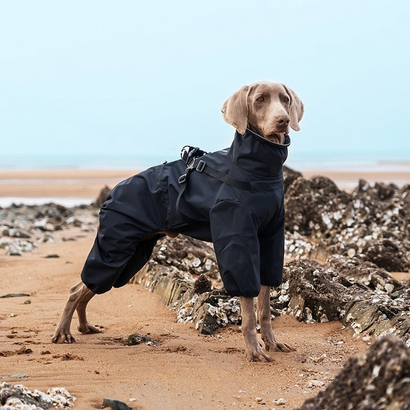 Lightweight dog raincoat | Adjustable harness | Waterproof dog jacket | Reflective at night | Fits all sizes of dogs S-6XL