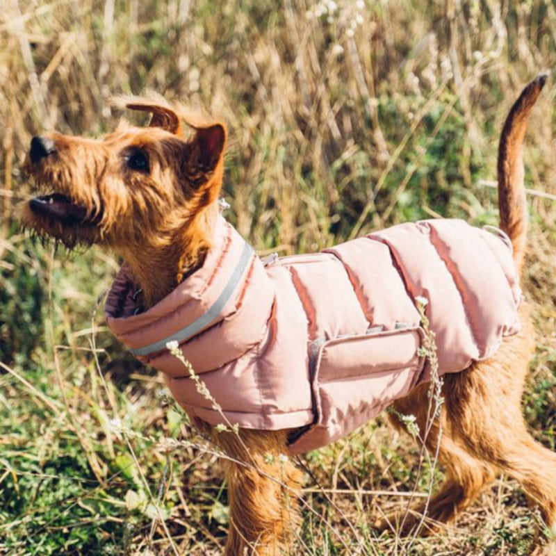 Hunde-Outdoor-Jacke, wasserdicht, winddicht, warmer Mantel