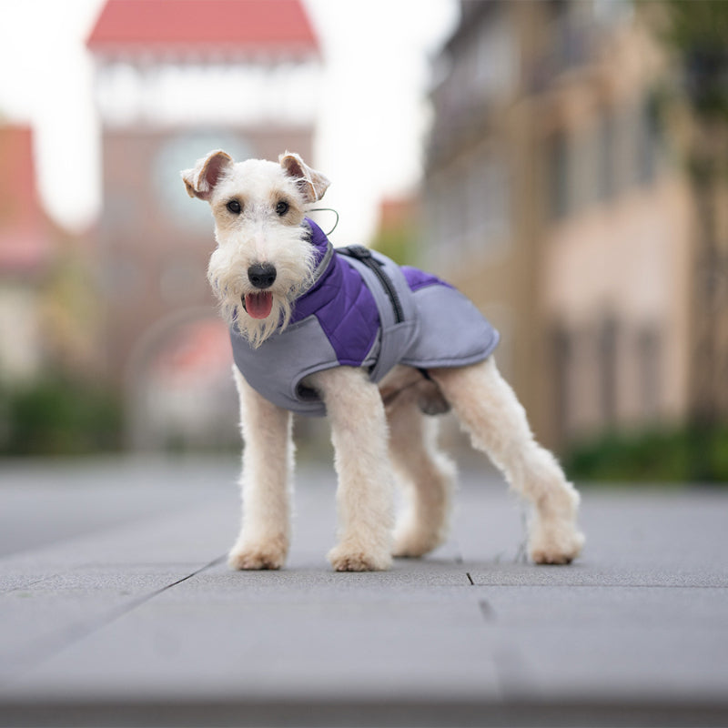 Hunde Wintermantel warm und winddicht hoher Kragen kann umgeschlagen werden für kleine und mittelgroße
