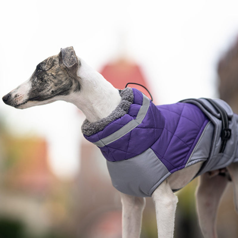 Hunde Wintermantel warm und winddicht hoher Kragen kann umgeschlagen werden für kleine und mittelgroße