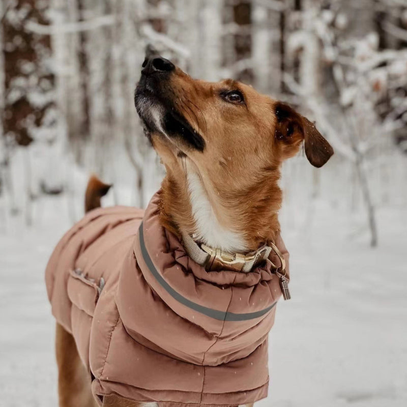 Hunde-Outdoor-Jacke, wasserdicht, winddicht, warmer Mantel