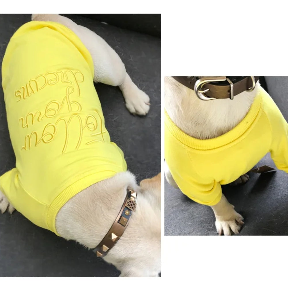 Matching Pet and Owner T-Shirt Set – Embroidered Letter Tee for Small Dogs and Cats Spring and Autumn Thin Style