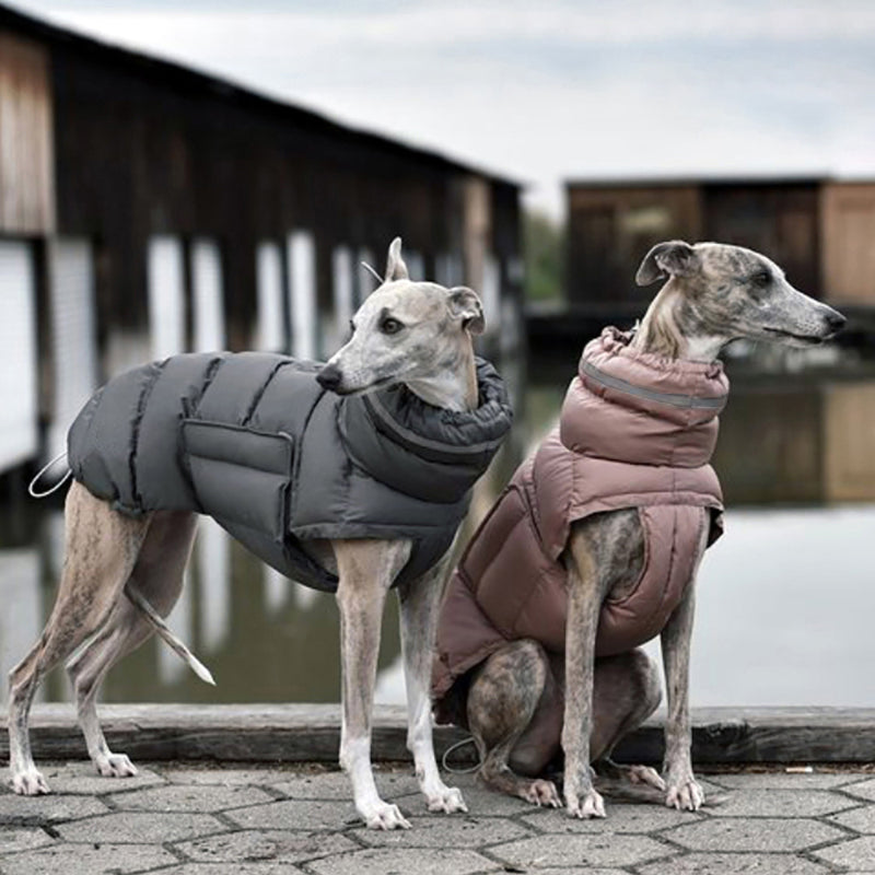 Hunde-Outdoor-Jacke, wasserdicht, winddicht, warmer Mantel