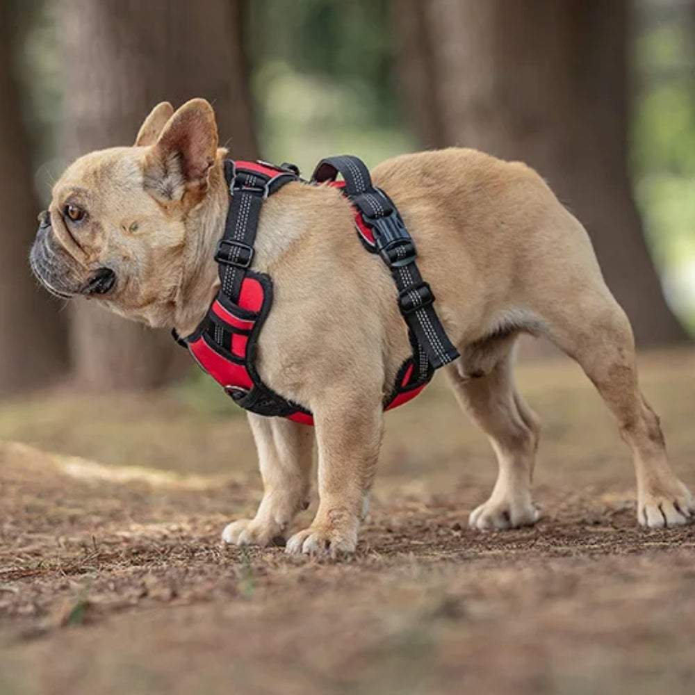 No Hood Explosion Proof Dog Chest Harness Adjustable Breathable Vest-Style Leash for Medium Large Dogs Reflective Dog Harness