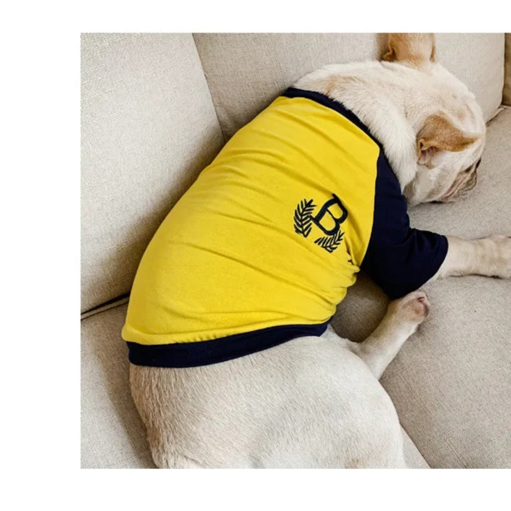 Pet and owner matching outfits Outdoor hike with dog Embroidered short-sleeved loose T-shirt suitable for small dogs and cats
