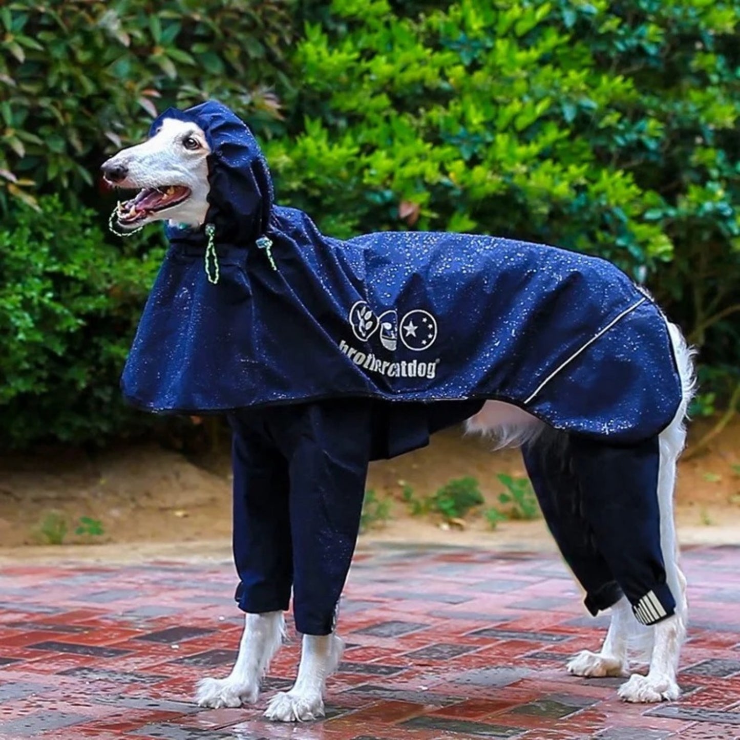Dog raincoat waterproof integrated raincoat, four legged reflective assault suit with adjustable hood for sheepdogs Labrador