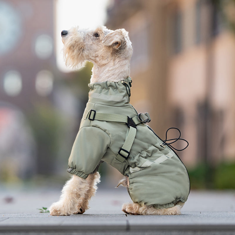 Hunde-Winterjacke, warm und wasserdicht, verstellbares Geschirr, kleine und mittelgroße Hunde