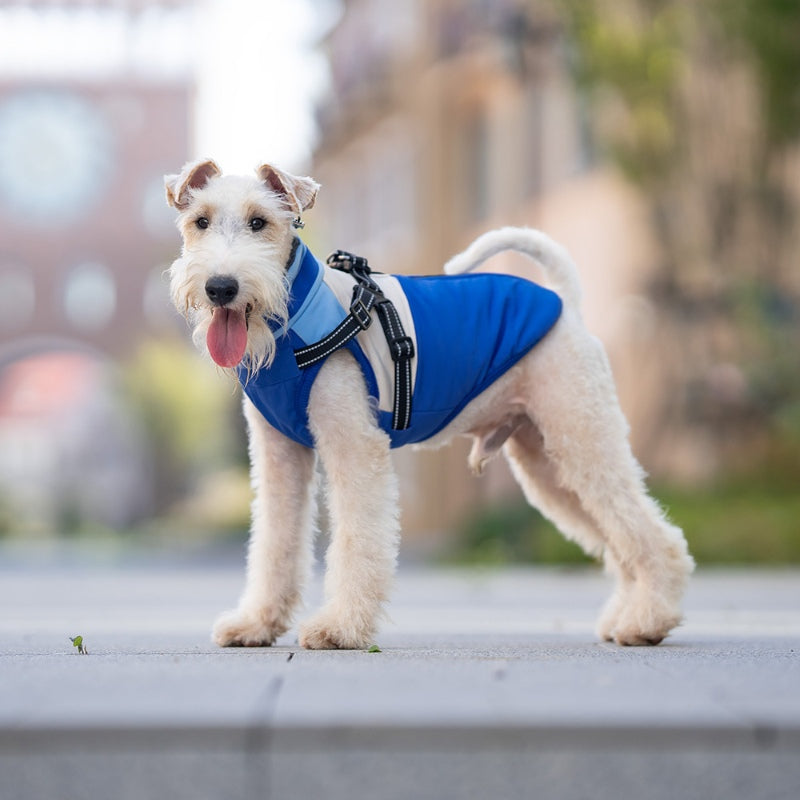 Multifunktionale warme Jacke für kleine Hunde mit Zugschnalle