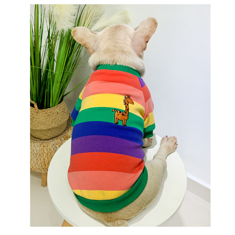 Plüschiges, warmes Sweatshirt für kleine Hunde, passende Kleidung für Haustier und Besitzer