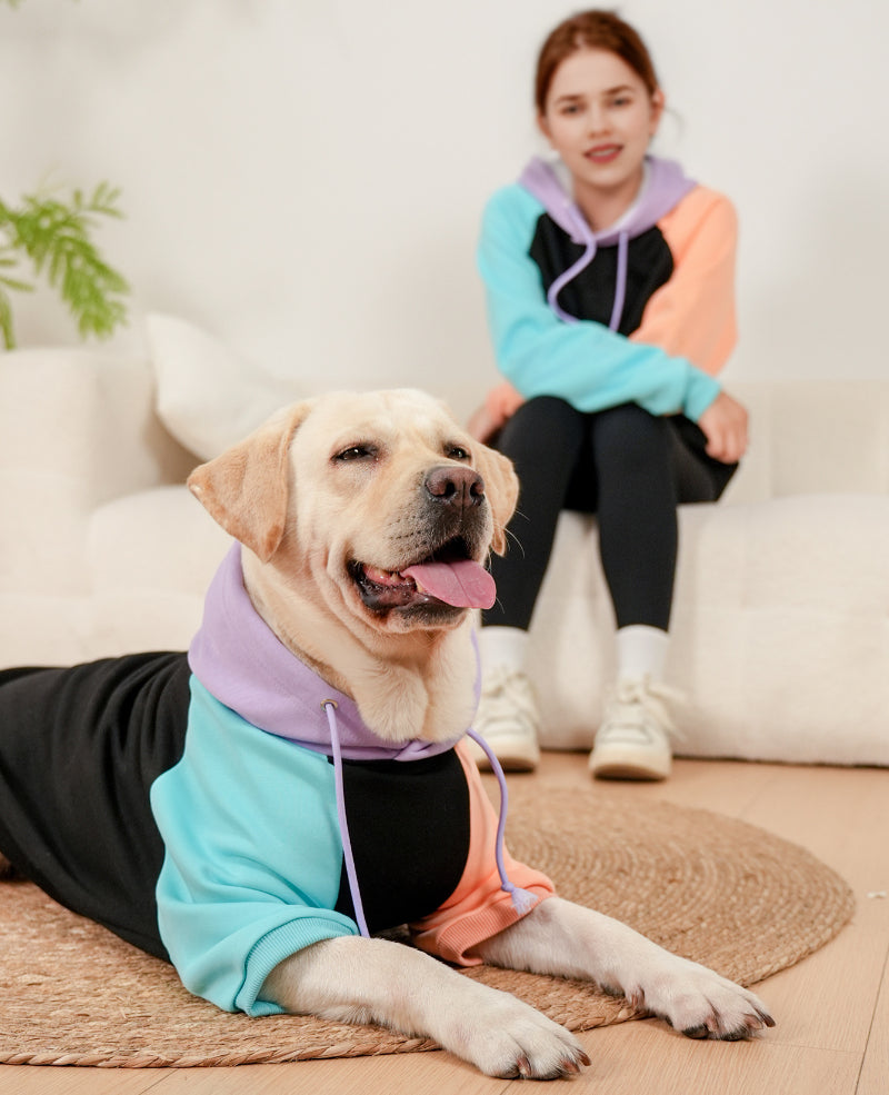 Dog Owner Hoodies - Soft and Comfortable Fit for All Breeds