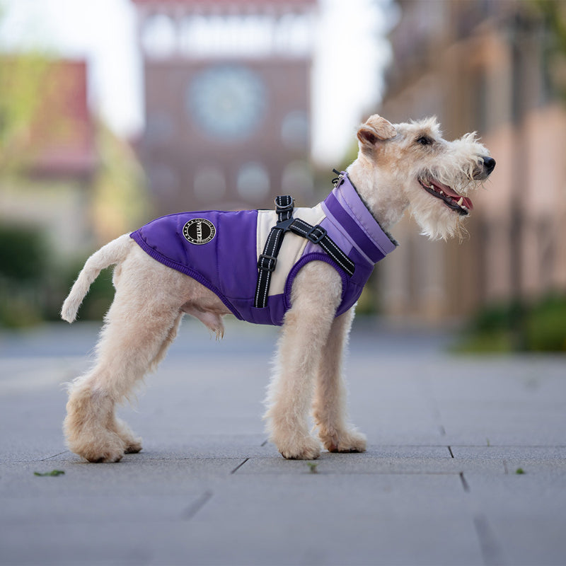 Multifunktionale warme Jacke für kleine Hunde mit Zugschnalle