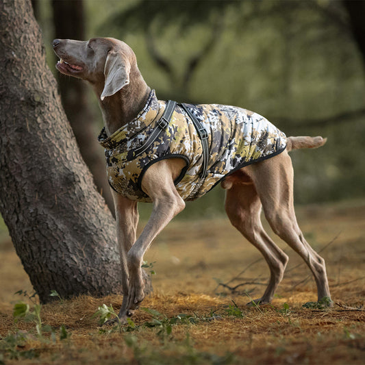 Veste chaude pour gros chien, réfléchissante, coupe-vent et imperméable