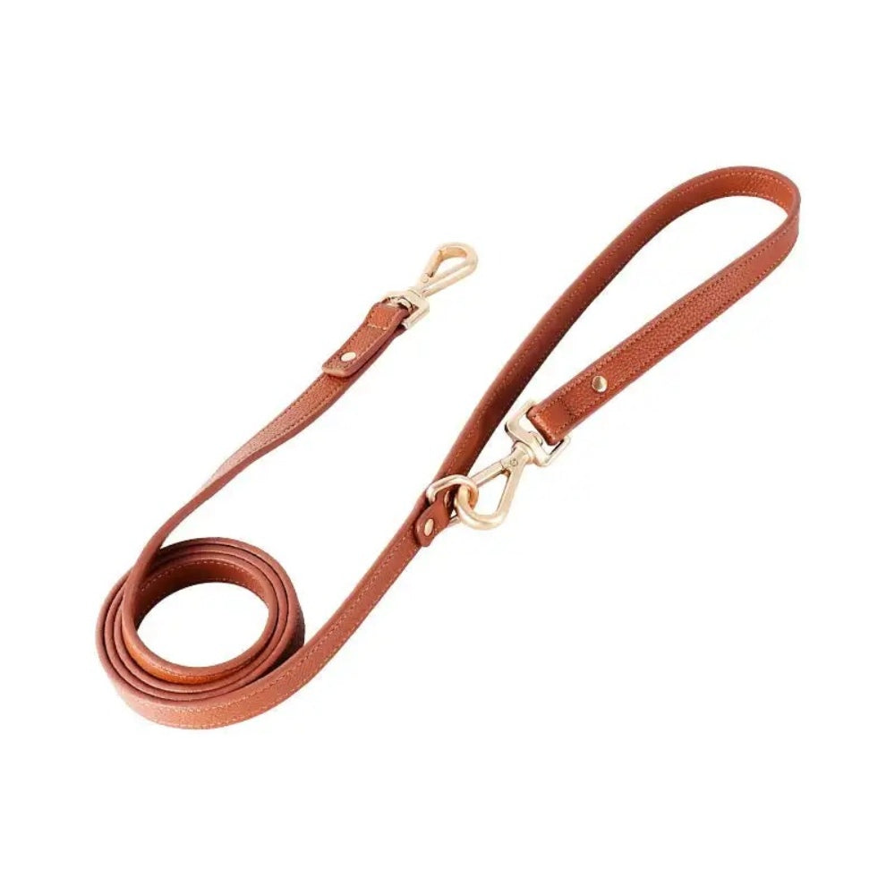 Leather Dog Harness with Handle Waterproof Dog Vest Leash Adjustable Soft and Comfortable for Medium and Large Dogs
