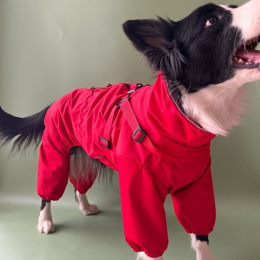 Waterproof dog raincoat | Four-legged chest-back design | Adjustable dog jacket | Reflective at night | All sizes of dogs S-6XL