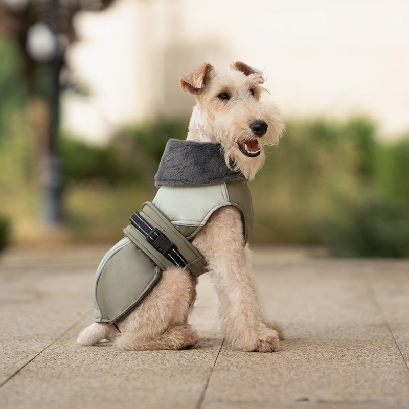 Hunde Winter Dicke Jacke Hohe Kragen Warm Reflektierende Kleine und Mittlere Hunde
