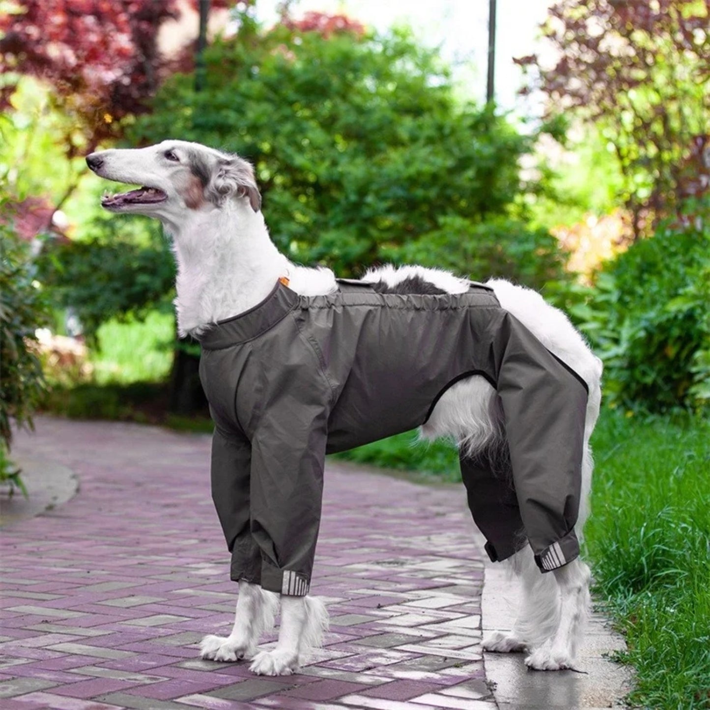 Dog raincoat waterproof one-piece raincoat for medium and large dogs with adjustable hood four-legged reflective raincoat