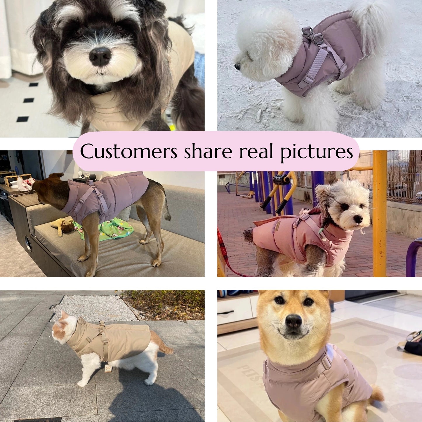 Waterproof dog jacket | Adjustable dog coat | With strap design | Windproof and rainproof pet coat in Morandi color | Suitable for all dogs