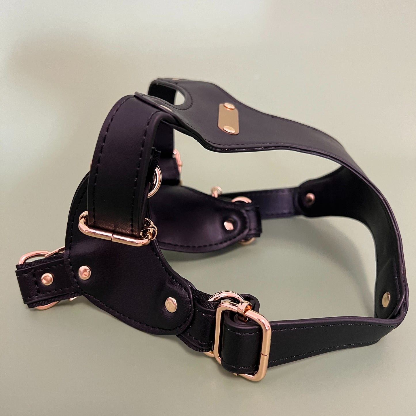 Leather Dog Harness Set – Soft and Comfortable, Waterproof and Dirt Resistant, Adjustable Design, With Leash and Removable Poop Bag