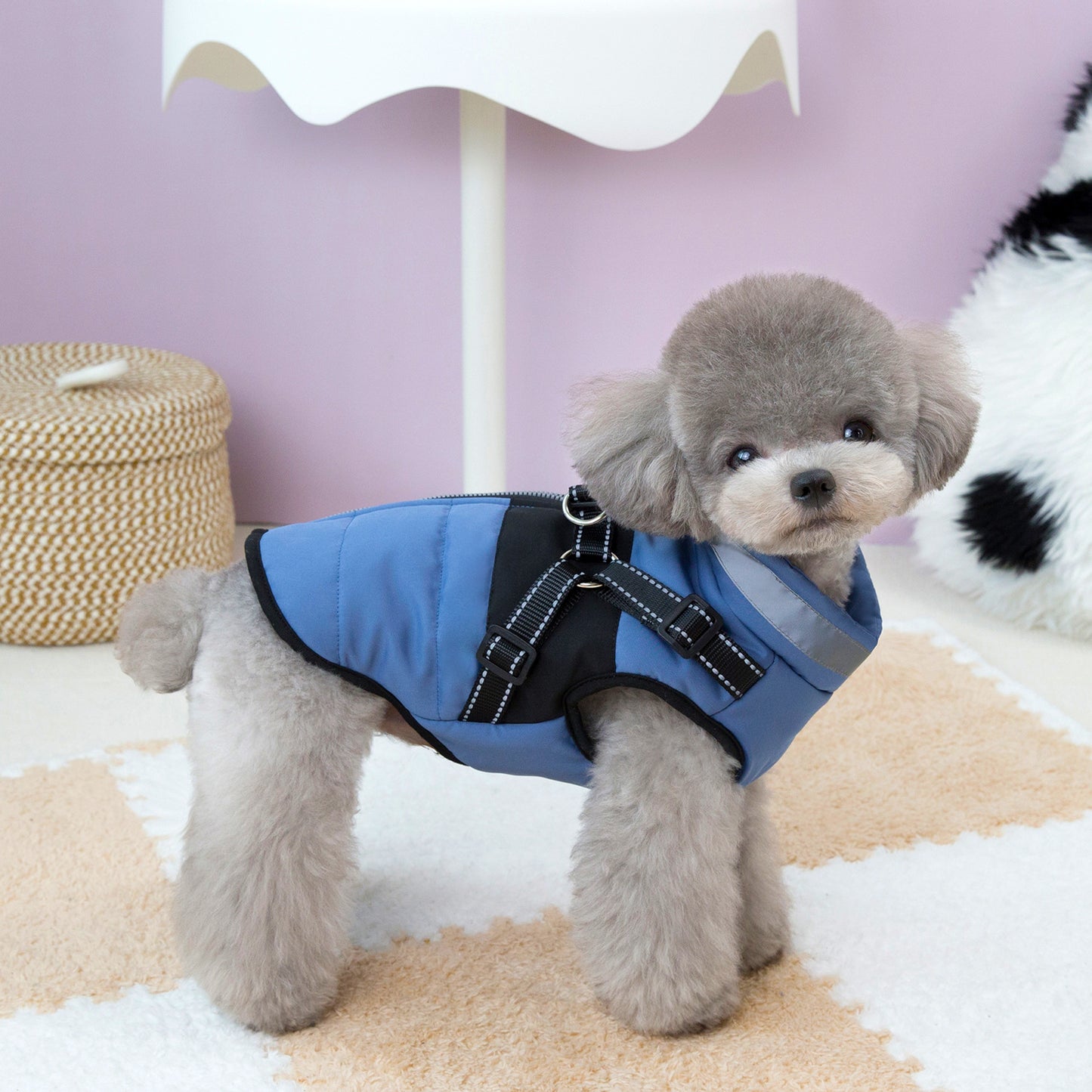 Small Dog Cotton-padded Reflective Harness Traction