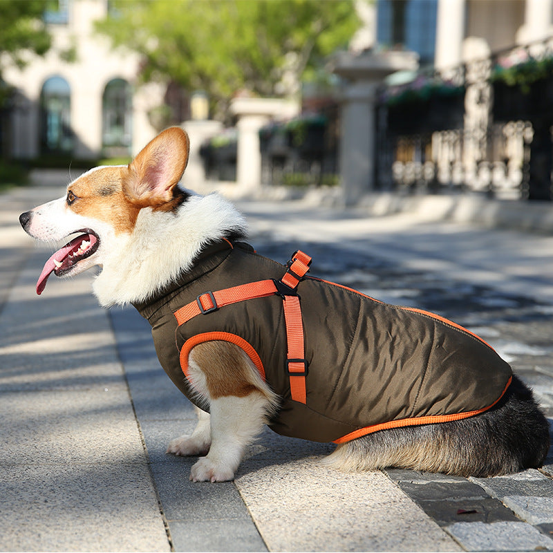 Warme wasserdichte Winterjacke für Hunde, Brust und Rücken, universell, Teddy Corgi