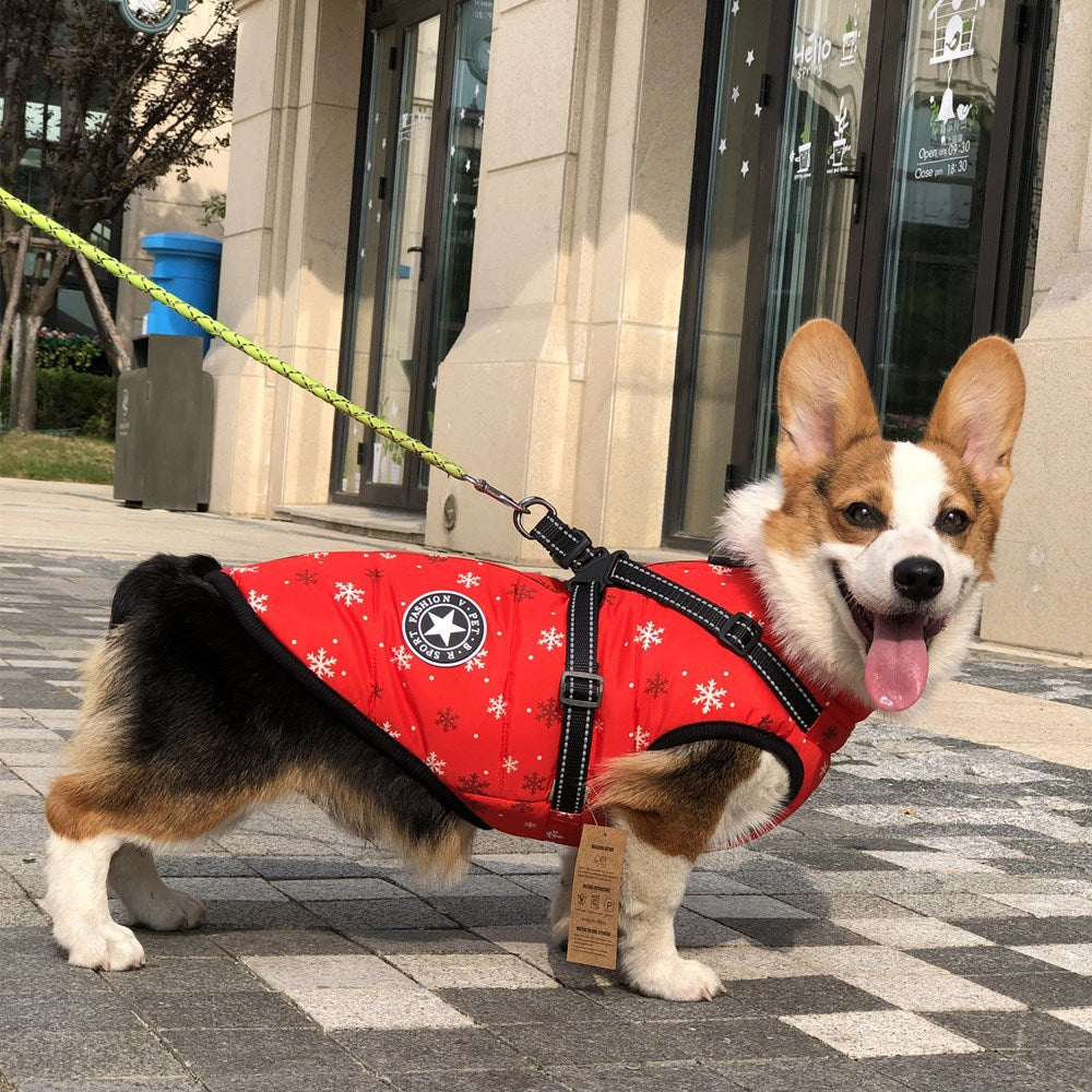 Warme Hundejacke, verdickt, wasserdicht, mit Geschirr