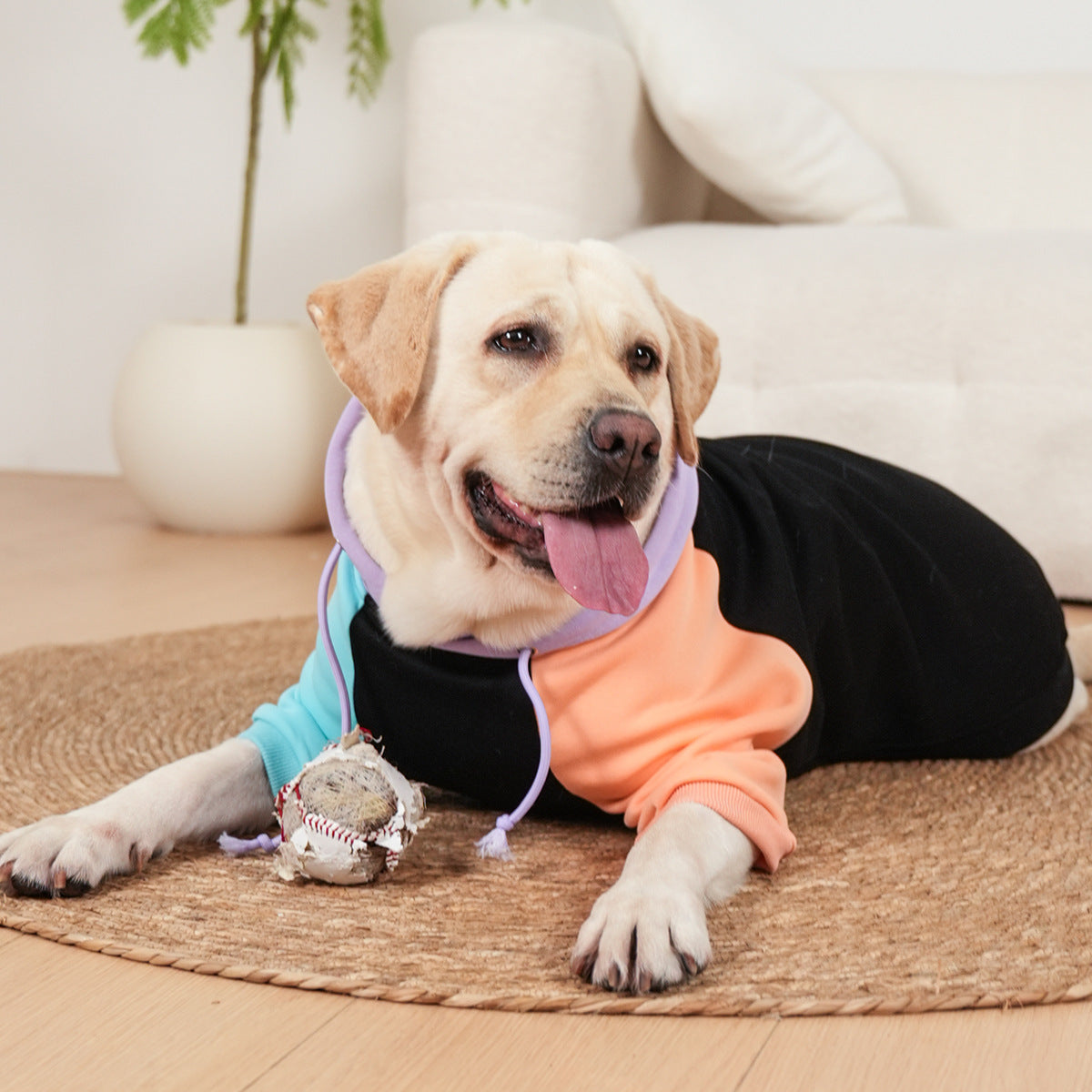 Dog Owner Hoodies - Soft and Comfortable Fit for All Breeds