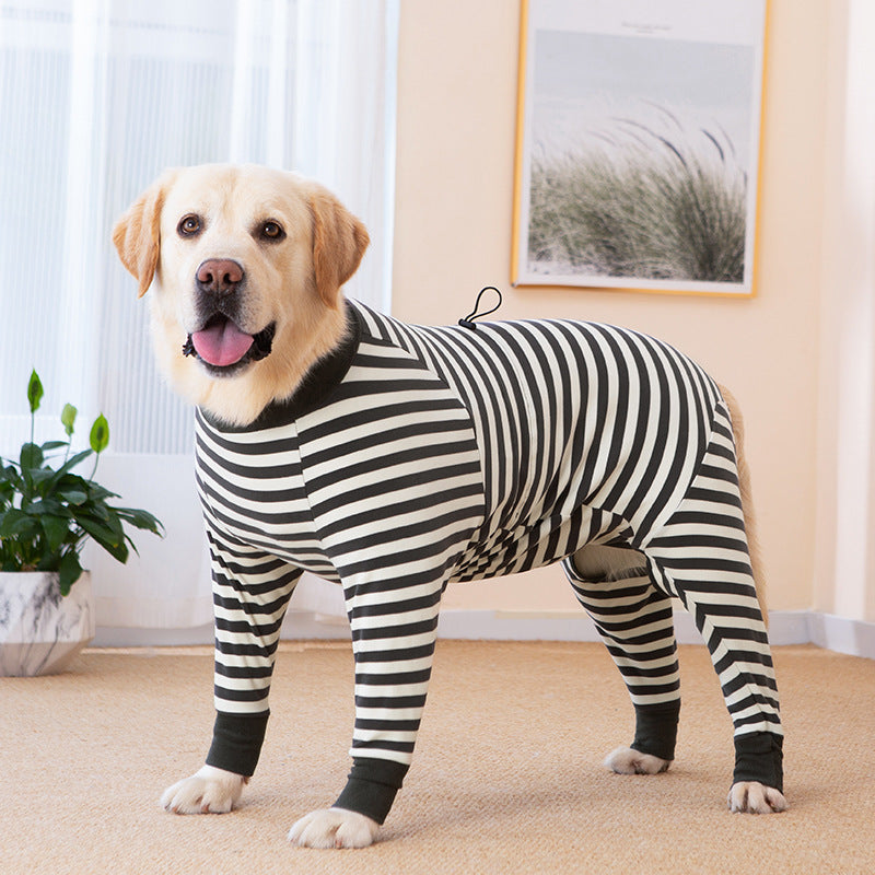 Verstellbare Kleidung für große Hunde, um sie warm zu halten und den Bauch nach einer Operation zu schützen