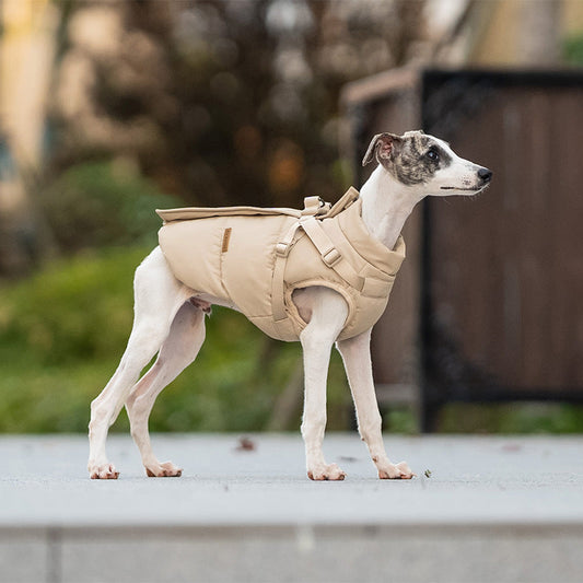 Vêtements d'hiver pour chiens, veste de poitrine et de dos pour petits et grands chiens