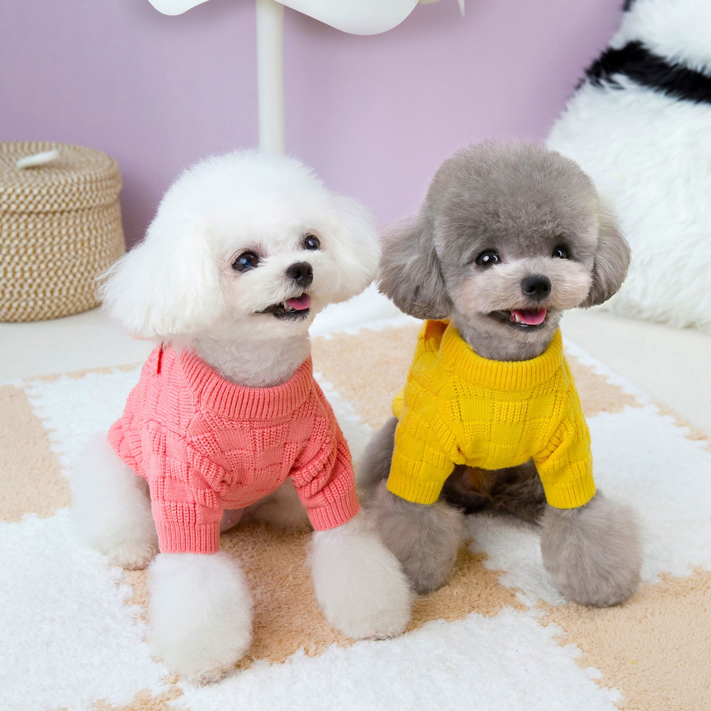Knitted sweater for small dogs