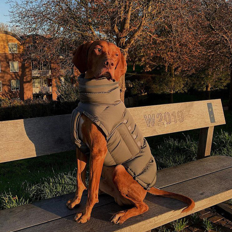 Hunde-Outdoor-Jacke, wasserdicht, winddicht, warmer Mantel