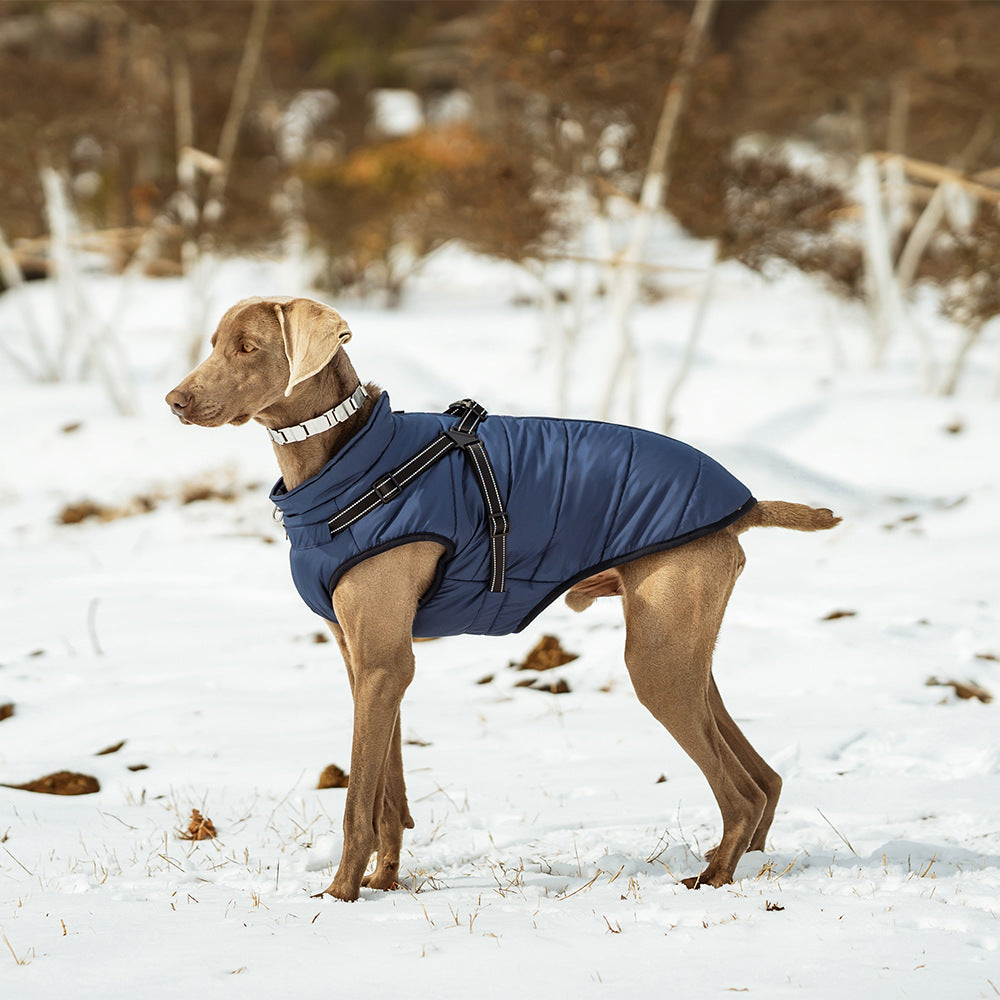 Warme Hundejacke, verdickt, wasserdicht, mit Geschirr