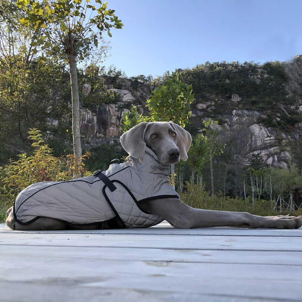 Große hund outdoor winter jacke ganzkörper reflektierende wasserdichte warm