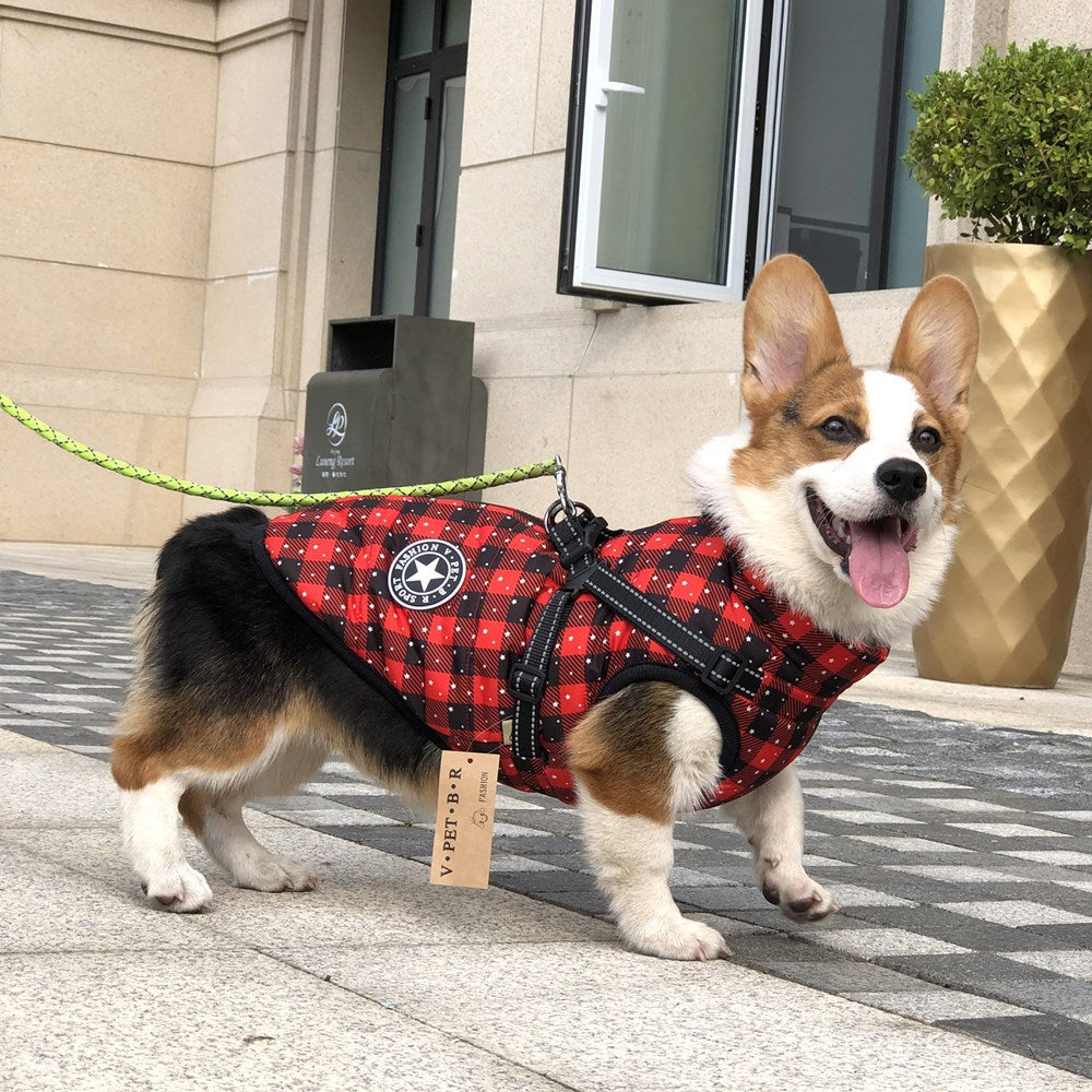 Warme Hundejacke, verdickt, wasserdicht, mit Geschirr