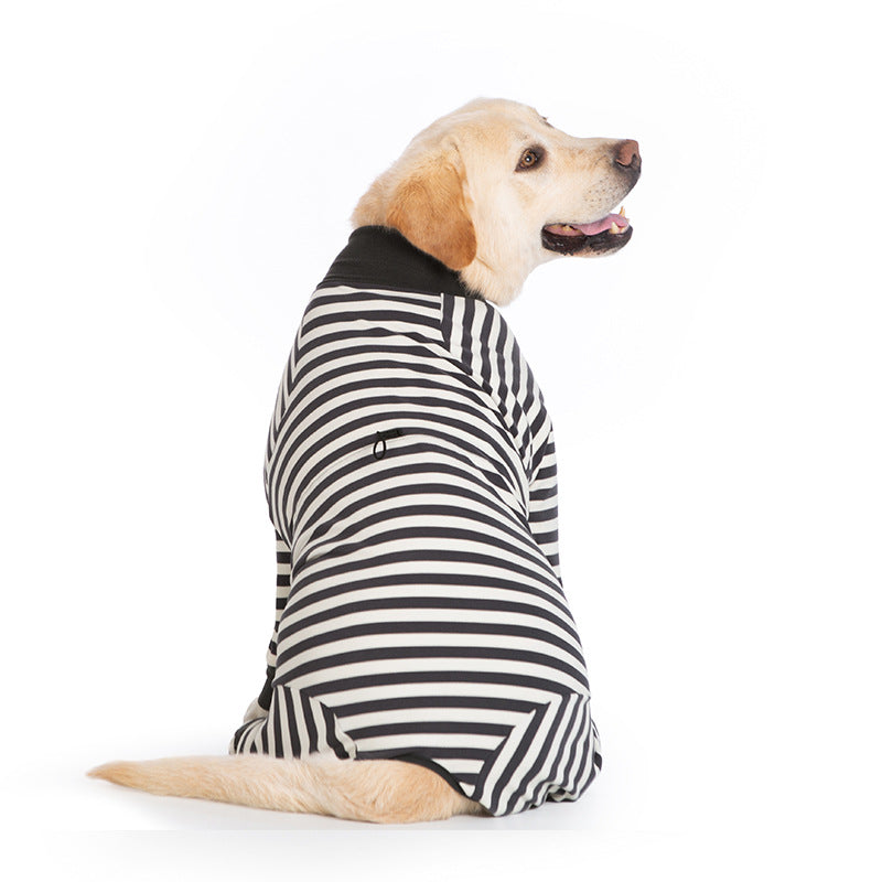 Verstellbare Kleidung für große Hunde, um sie warm zu halten und den Bauch nach einer Operation zu schützen