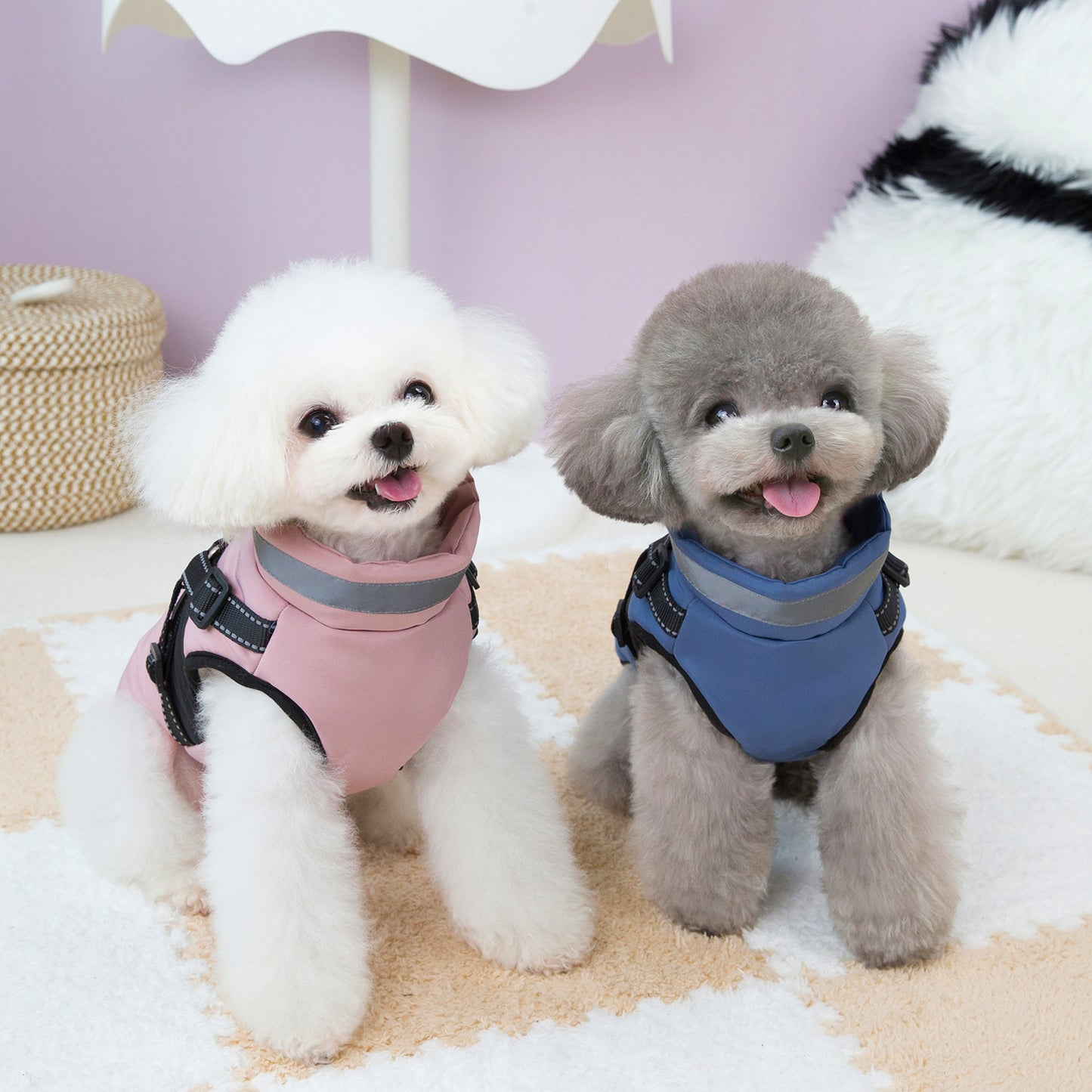 Small Dog Cotton-padded Reflective Harness Traction