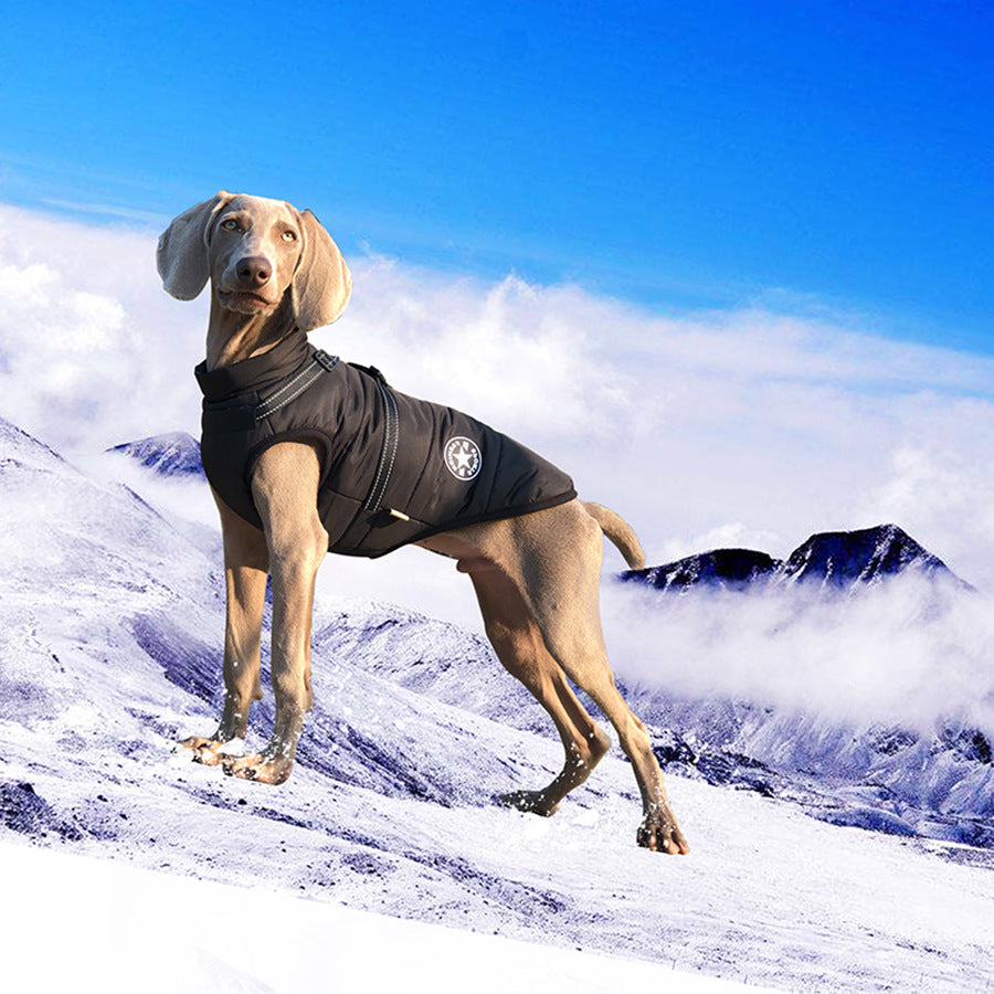 Warme Hundejacke, verdickt, wasserdicht, mit Geschirr