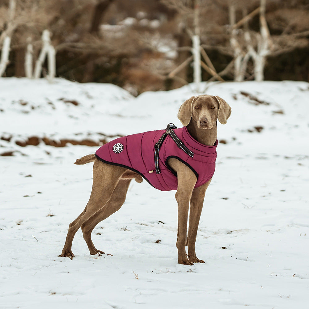 Warme Hundejacke, verdickt, wasserdicht, mit Geschirr