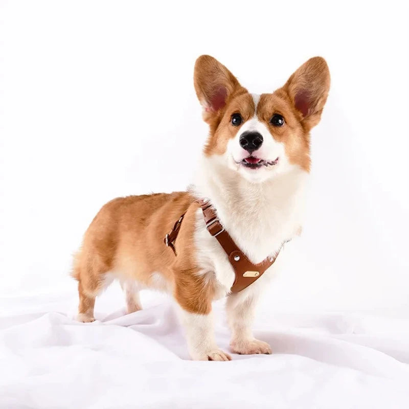 Leather Dog Harness and Leather Set - Waterproof, anti slip, adjustable, yelllow S-L for small and medium-sized dogs