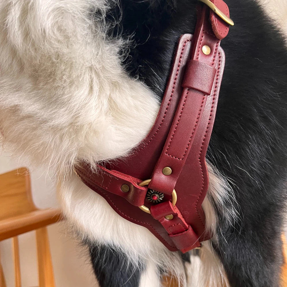Retro Natural cowhide leather dog harness, luxurious leather dog leash for large and medium-sized dogs red