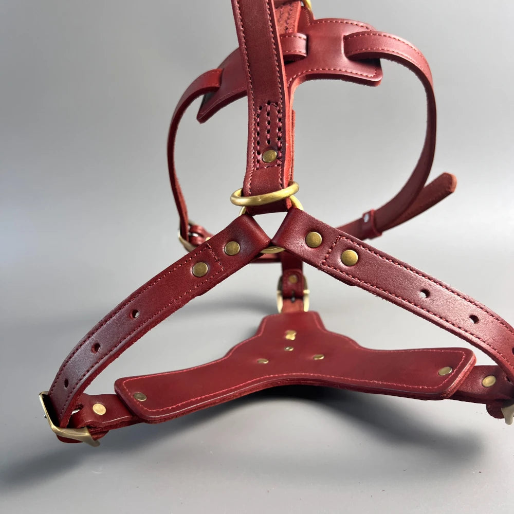 Retro Natural cowhide leather dog harness, luxurious leather dog leash for large and medium-sized dogs red
