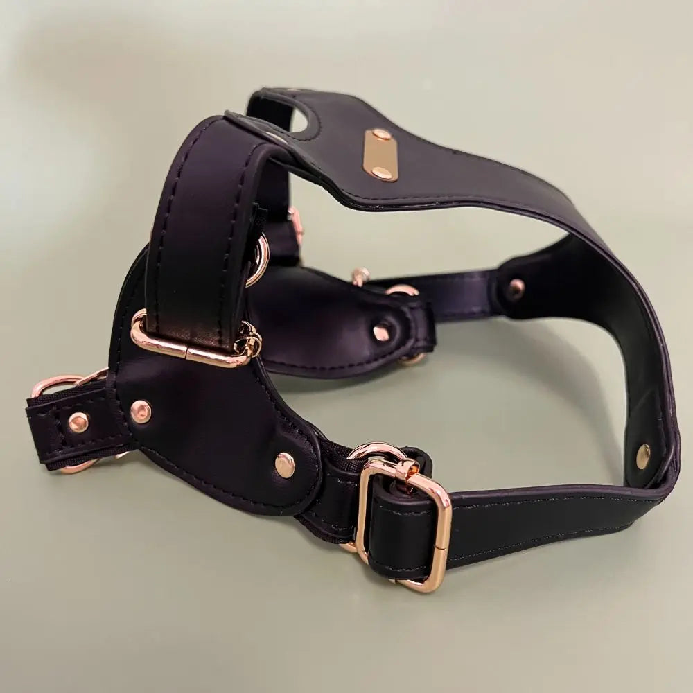 Leather dog harness set with drawstring poop bag - waterproof, adjustable, soft and comfortable for small and medium-sized dogs
