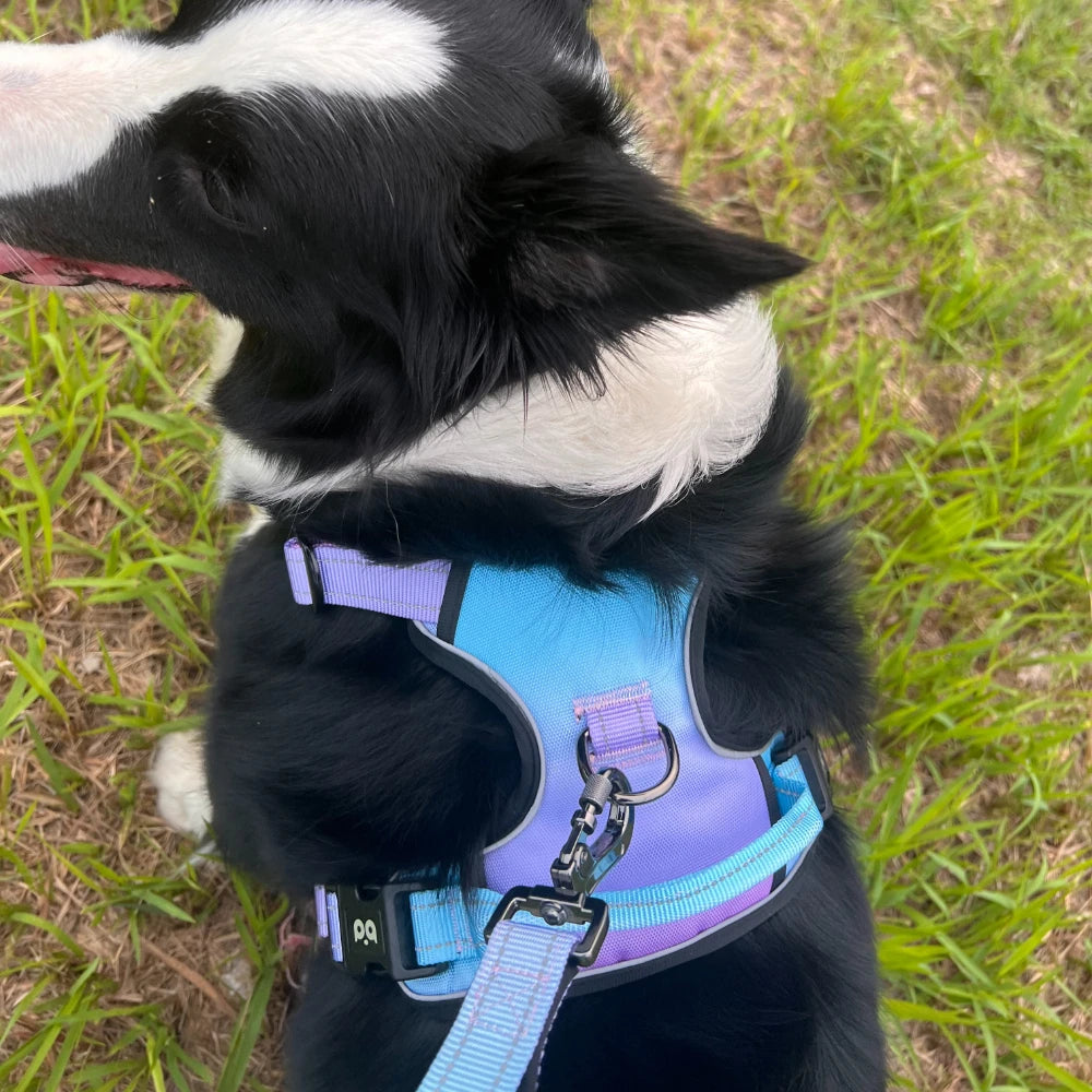 Anti slip dog harness set, waterproof Oxford cloth, breathable dog walking belt, vest style dog collar, running elastic rope