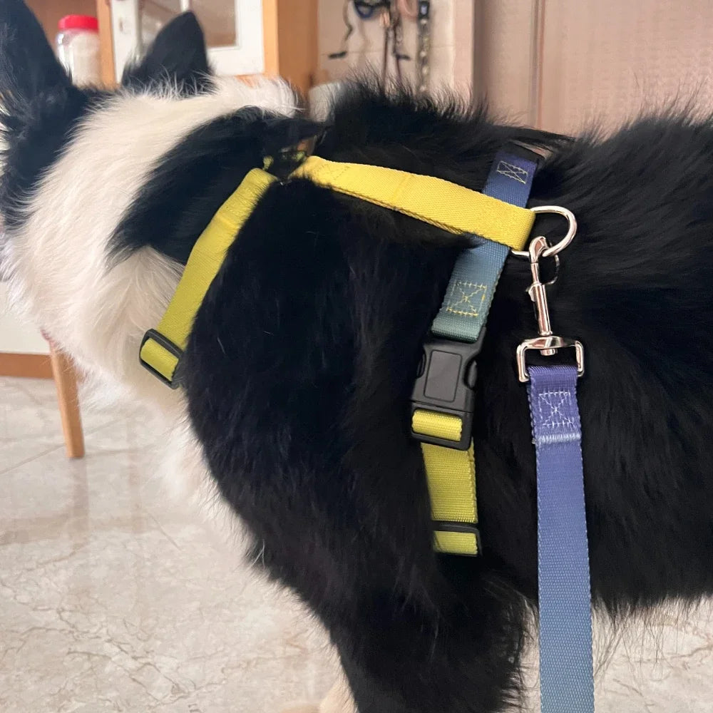 Dog chest harness cover includes a traction rope, waterproof nylon, anti slip, lightweight,for all types of dogs to walk